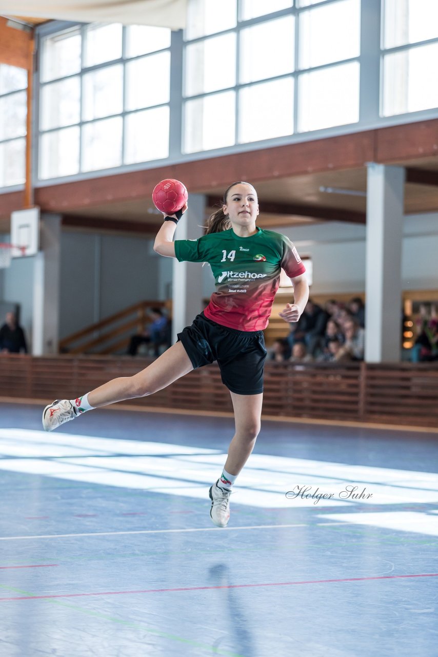 Bild 33 - wDJ HSG Kremperheide/Muensterdorf - TSV SR Schuelp : Ergebnis: 26:5